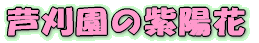 �������̎��z��