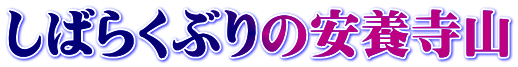 しばらくぶりの安養寺山