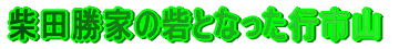 �ēc���Ƃ̍ԂƂȂ����s�s�R