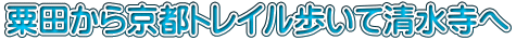 ���c���狞�s�g���C�������Đ�������
