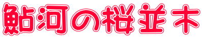 鮎河の桜並木