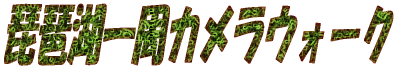 ���i�Έ���J�����E�H�[�N
