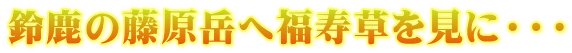 �鎭�̓����x�֕����������ɁE�E�E