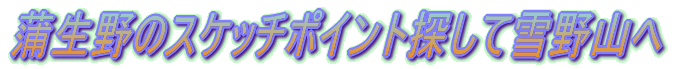 ������̃X�P�b�`�|�C���g�T���Đ��R��