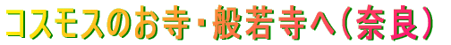 �ޗǁE�R�X���X�̔ʎ᎛��