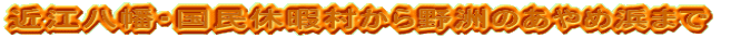 �ߍ]�����E�����x�ɑ������F�̂���ߕl�܂�