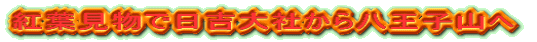�g�t�����Ő������E���g��Ђ�