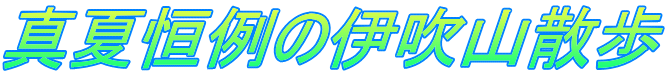 真夏恒例の伊吹山散歩