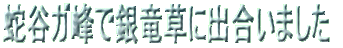 �֒J�K��ŋ◳���ɏo�����܂���