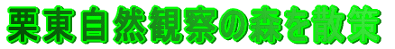 �I�����R�ώ@�̐X���U��
