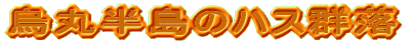 �G�۔����̃n�X�Q��