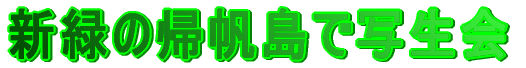 �A�����̎ʐ���