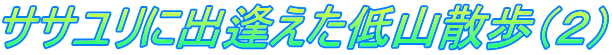 ササユリに出逢えた低山散歩（２）
