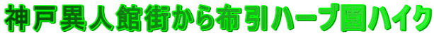 �_�ˈِl�يX����z���n�[�u���n�C�N
