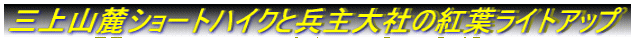 �O��R�[�V���[�g�n�C�N�ƕ����Ђ̍g�t���C�g�A�b�v