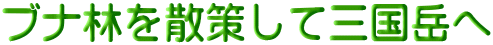 ブナ林を散策して三国岳へ