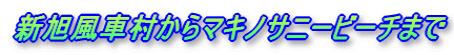 �V�����ԑ�����}�L�m�T�j�[�r�[�`