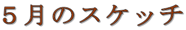 �T���̃X�P�b�`