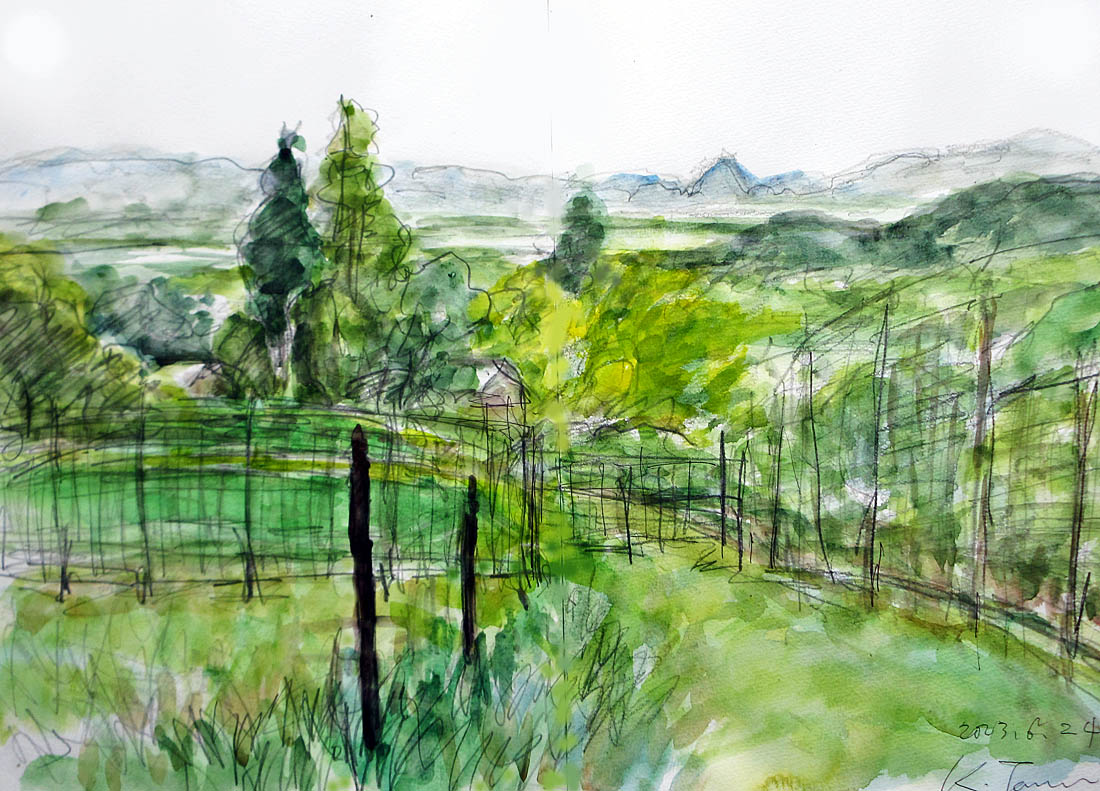 東　直樹　　水彩画　肉筆画　　【　題目　】　グラスにチェリー図　額装仕立て 伊藤若冲 動植綵絵 梅花小禽図 高級仕様 額 美術品 インテリア