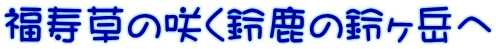 福寿草の咲く鈴鹿の鈴ヶ岳へ
