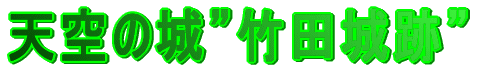 �V��̏�h�|�c��Ձh