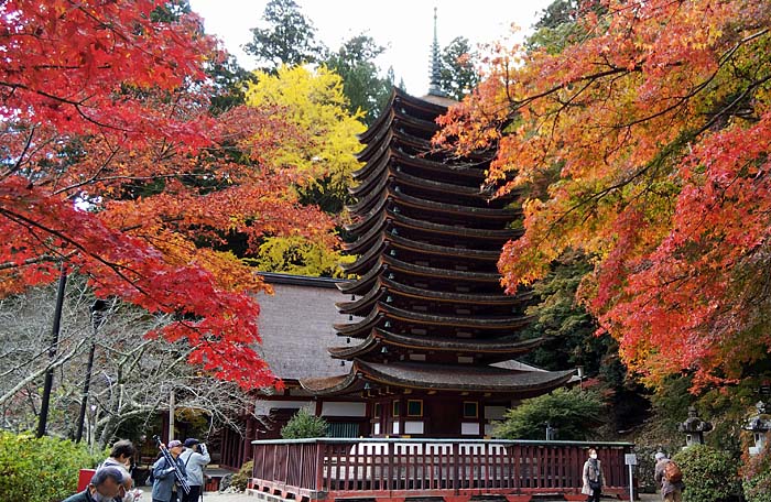 tanzan-s01.jpg