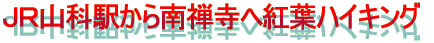 �i�q�R�ȉw�����T���֍g�t�n�C�L���O