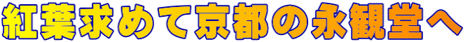 紅葉求めて京都の永観堂へ