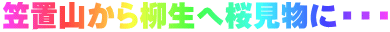 笠置山から柳生へ桜見物に・・・