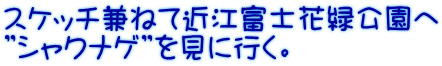 スケッチ兼ねて近江富士花緑公園へ ”シャクナゲ”を見に行く。