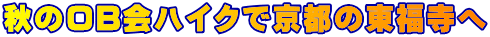 秋のOB会ハイクで京都の東福寺へ